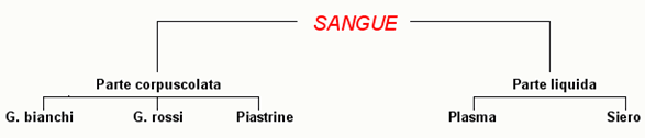 A chi serve il sangue?