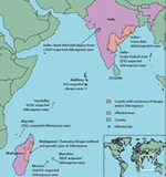 E la Febbre Chikungunya (CHIKV)?